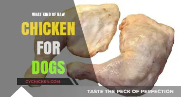 Safe Raw Chicken Options for Dogs: A Complete Feeding Guide