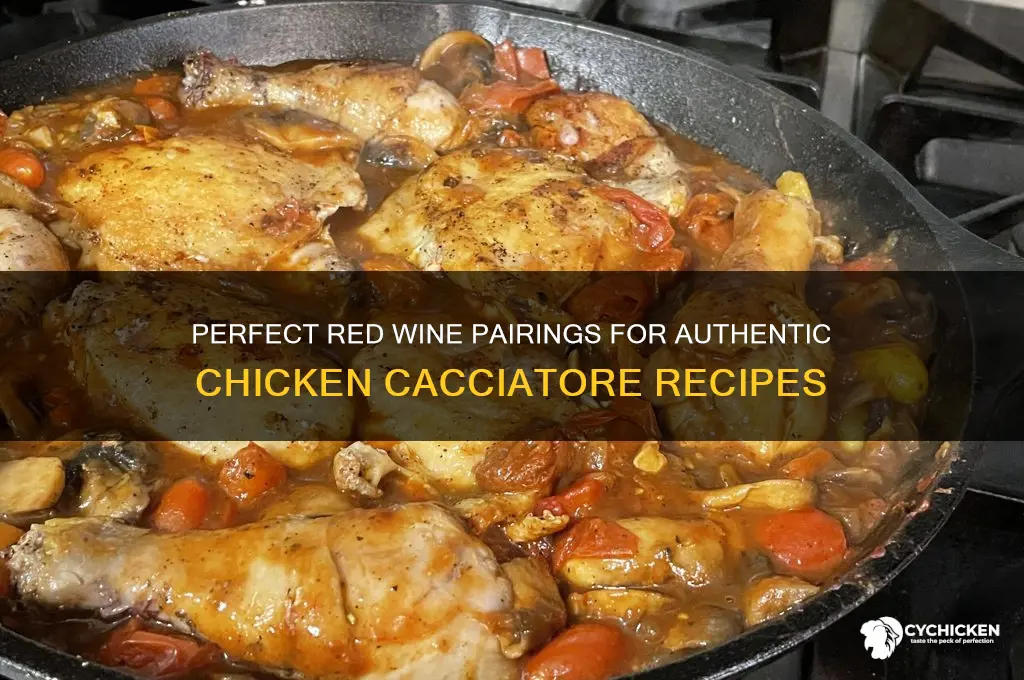 what kind of red wine for chicken cacciatore