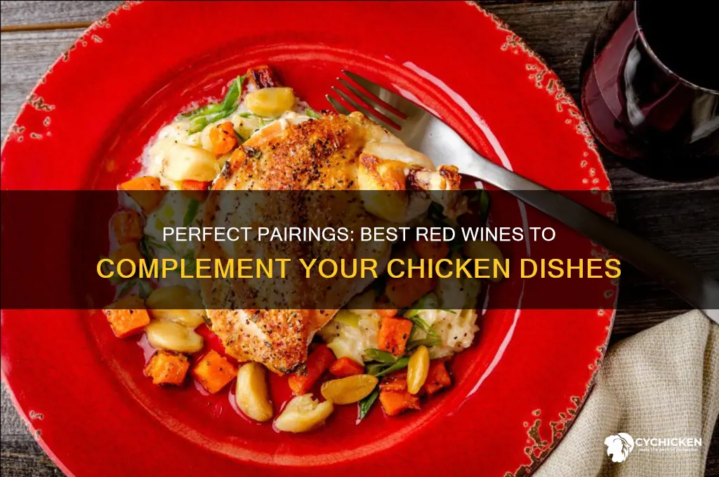 what kind of red wine goes with chicken