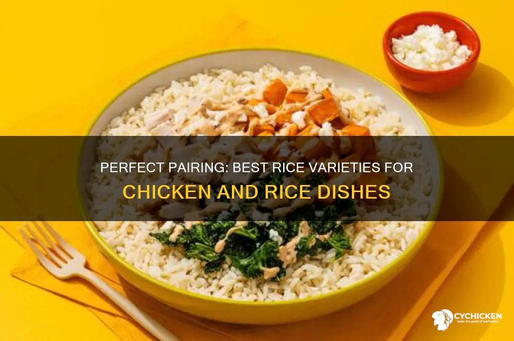 what kind of rice for chicken and rice