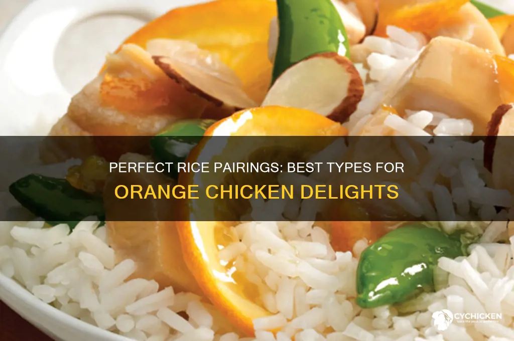 what kind of rice for orange chicken