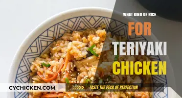 Perfect Rice Pairings for Teriyaki Chicken: Top Varieties to Try