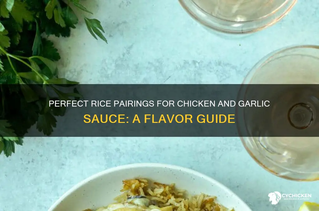 what kind of rice goes with chicken and garlic sauce