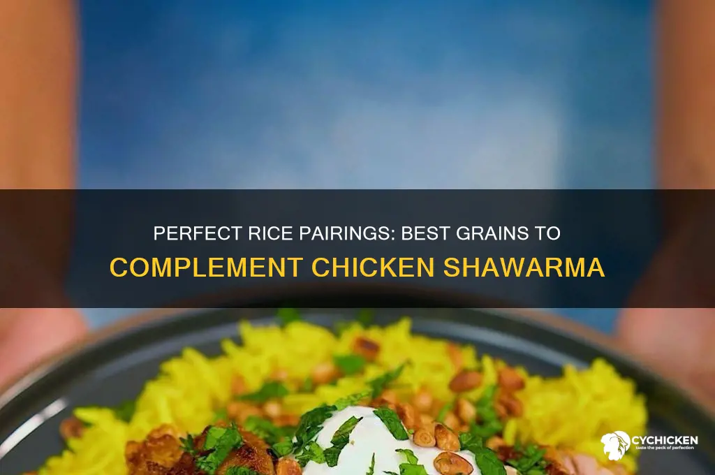 what kind of rice goes with chicken shawarma