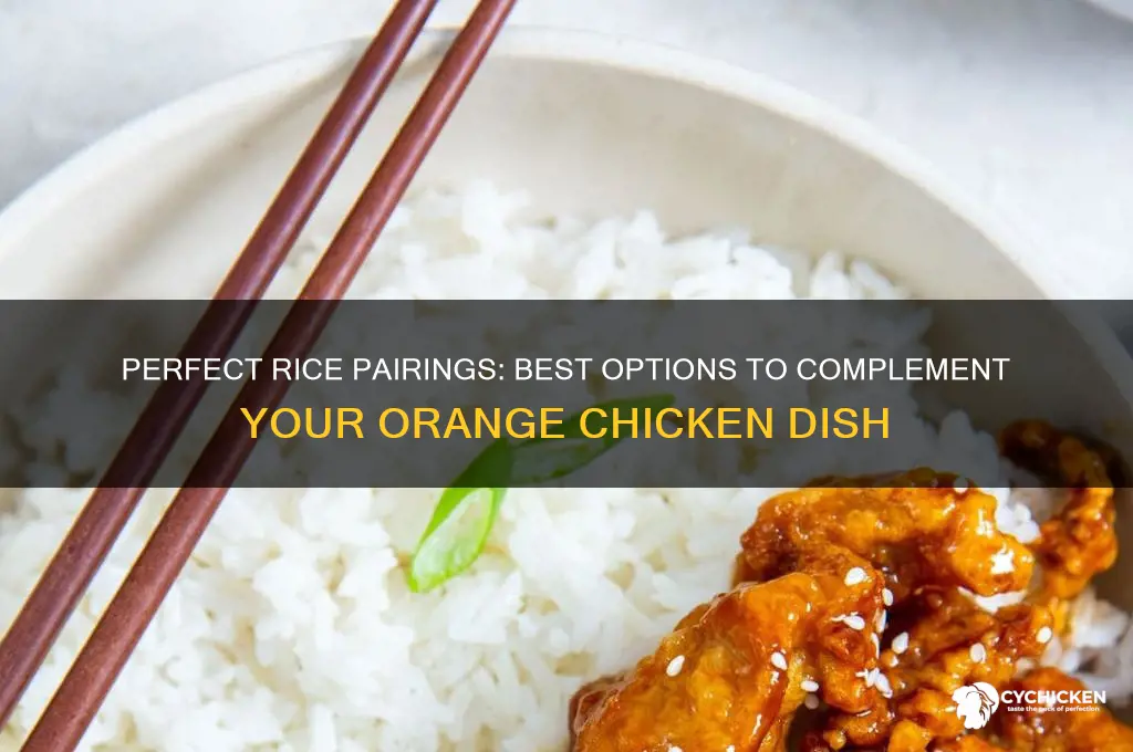 what kind of rice goes with orange chicken