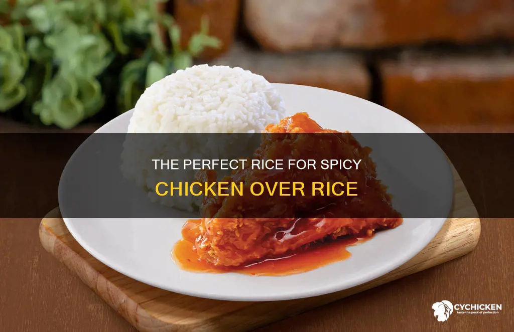 what kind of rice is in spicy chicken over rice
