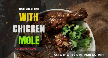 Perfect Rice Pairings for Chicken Mole: Enhance Your Authentic Mexican Feast