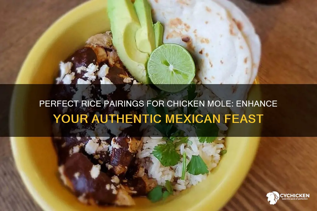 what kind of rice with chicken mole