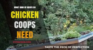 Essential Roofing Options for Happy and Healthy Chicken Coops