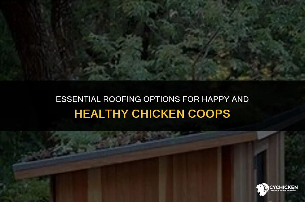 what kind of roofs do chicken coops need