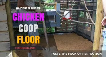 Choosing the Perfect Sand for Your Chicken Coop Floor
