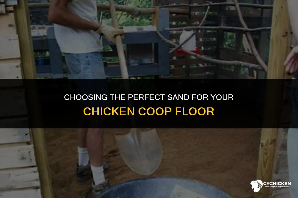 what kind of sand for chicken coop floor