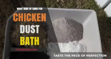 Best Sand Types for Chicken Dust Baths: A Complete Guide