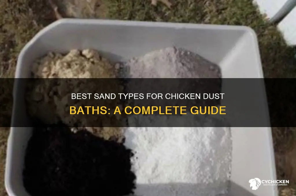 what kind of sand for chicken dust bath