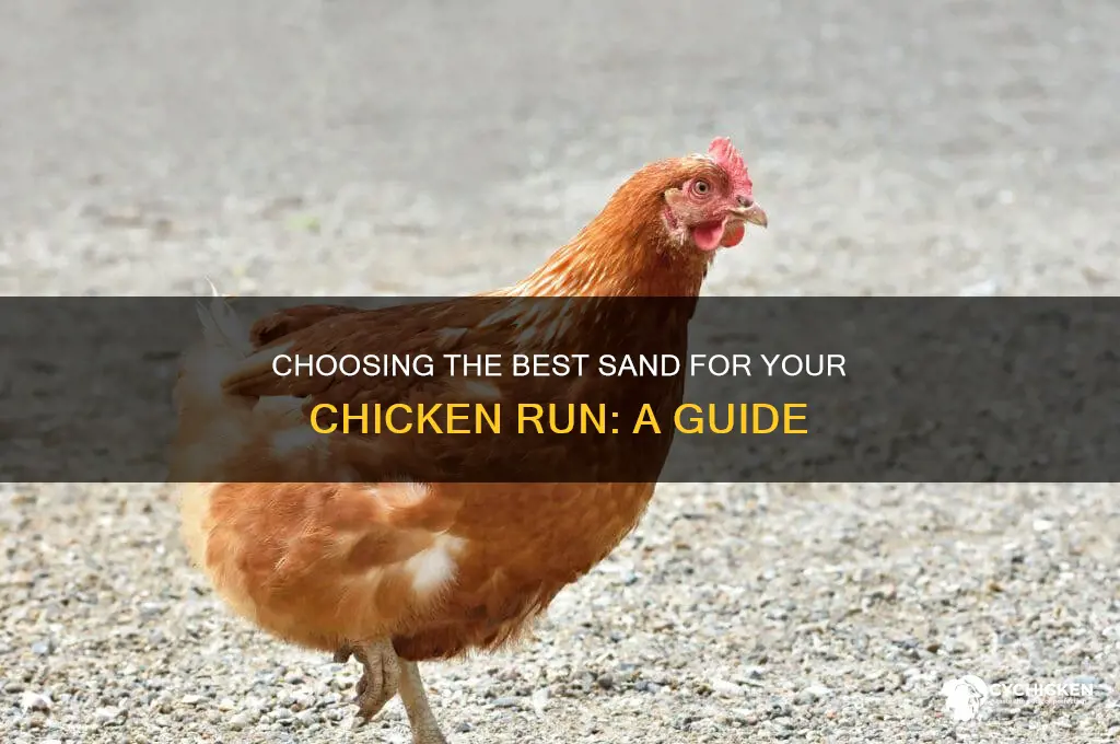 what kind of sand for chicken run