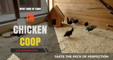 Choosing the Right Sand for Your Chicken Coop: A Guide