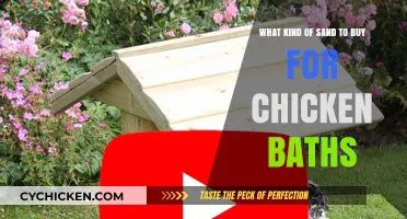 Choosing the Best Sand for Your Chickens' Dust Bath Needs