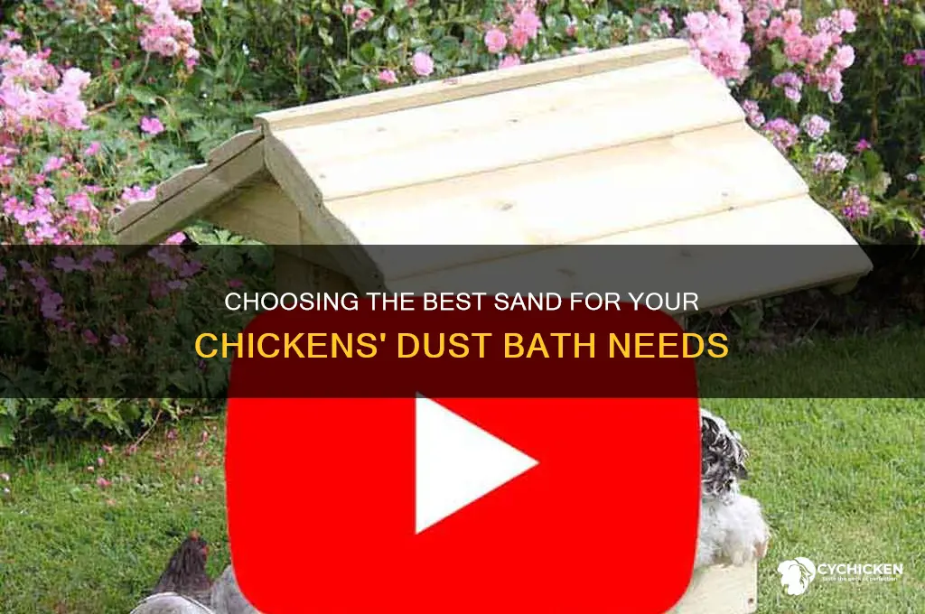 what kind of sand to buy for chicken baths