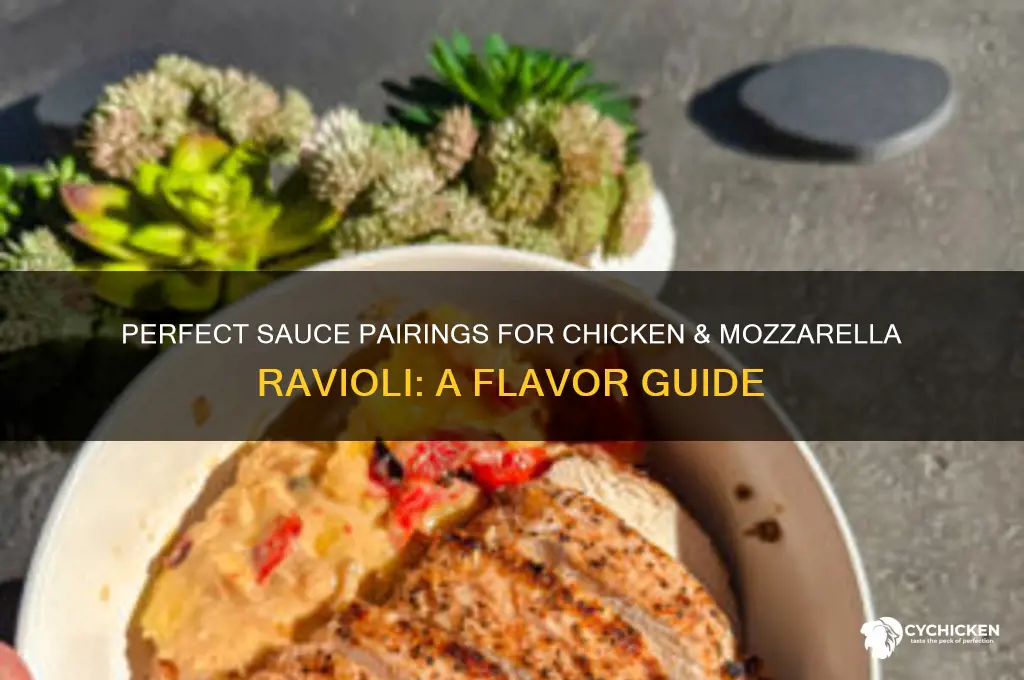 what kind of sauce for chicken & mozerella ravioli