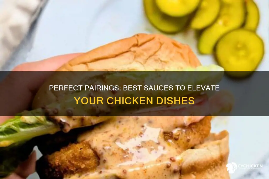 what kind of sauce for chicken