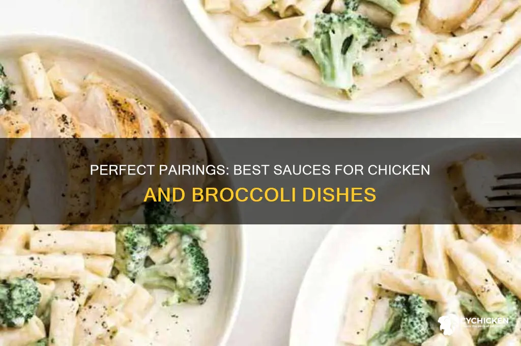 what kind of sauce goes on chicken and broccoli