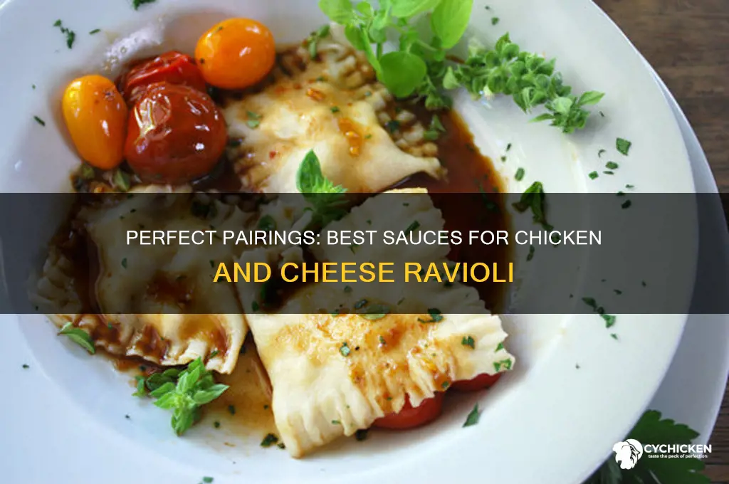 what kind of sauce goes with chicken and cheese ravioli