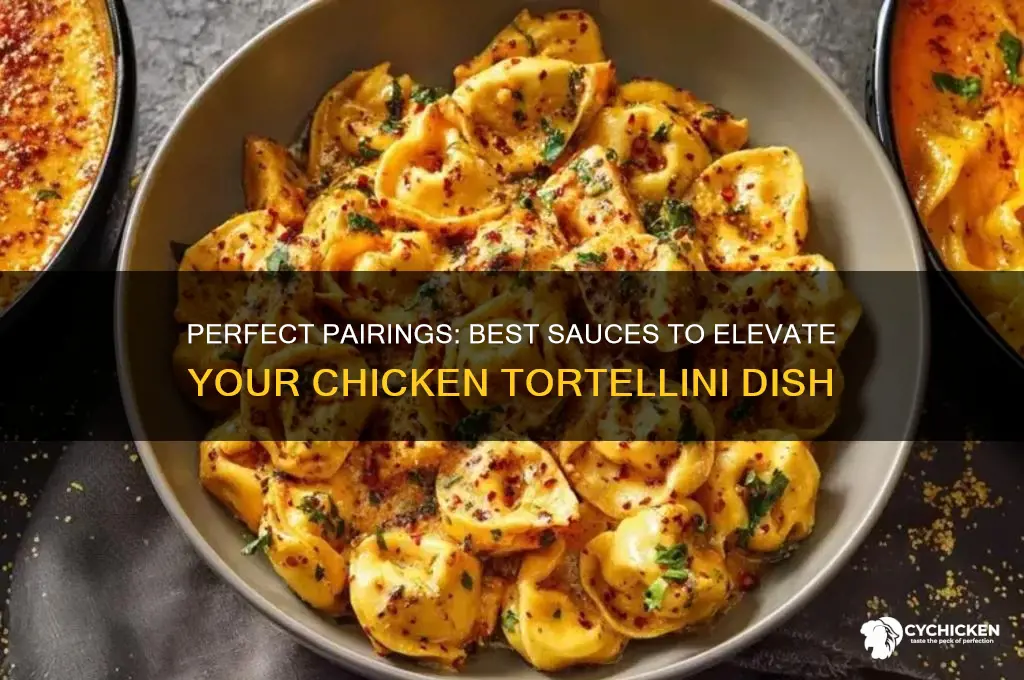 what kind of sauce goes with chicken tortellini