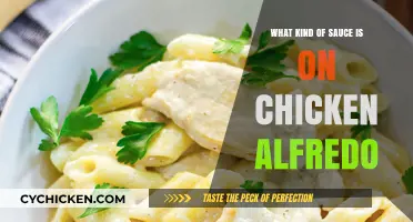 Unveiling the Creamy Sauce Secret Behind Classic Chicken Alfredo