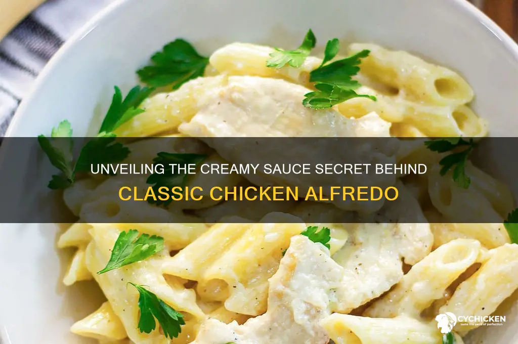 what kind of sauce is on chicken alfredo
