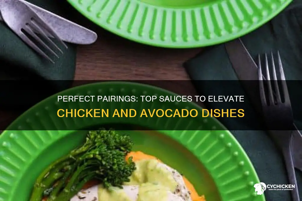 what kind of sauce to add to chicken and avocado