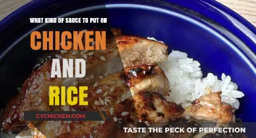 Perfect Pairings: Top Sauce Ideas for Chicken and Rice Dishes