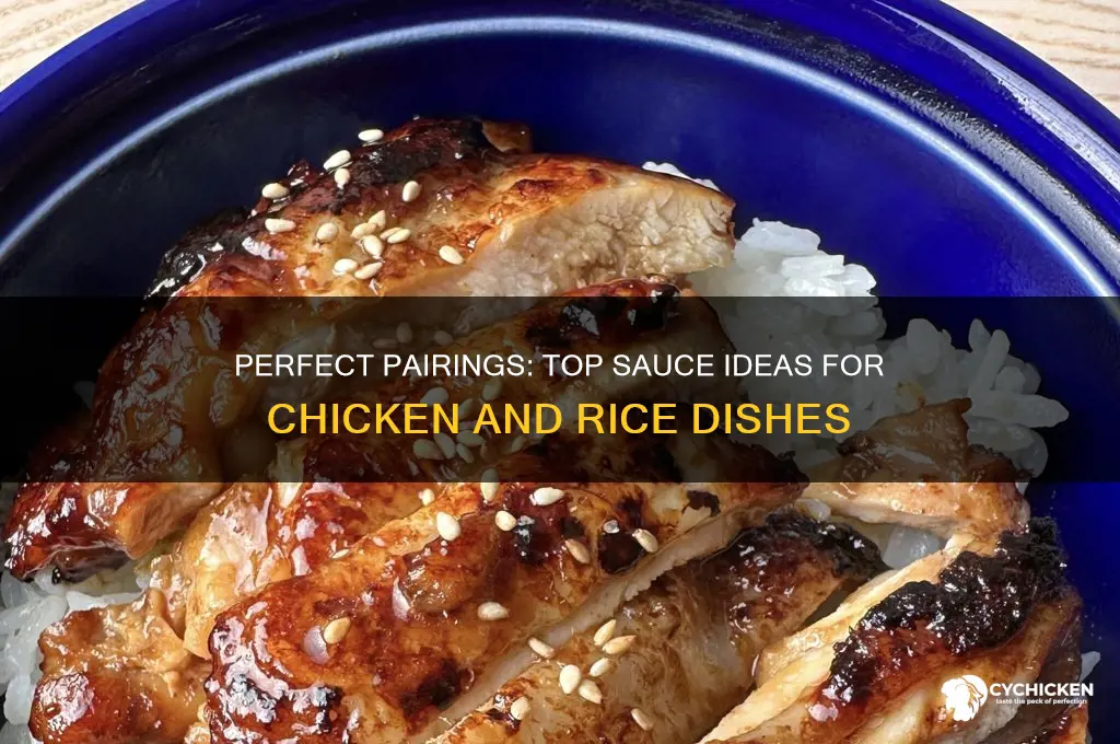 what kind of sauce to put on chicken and rice