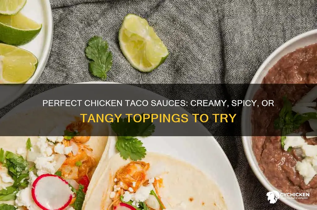 what kind of sauce to put on chicken tacos