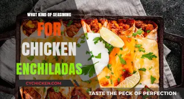Perfect Seasoning Blends to Elevate Your Chicken Enchiladas Recipe