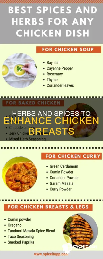 what kind of seasoning do i put on chick booba