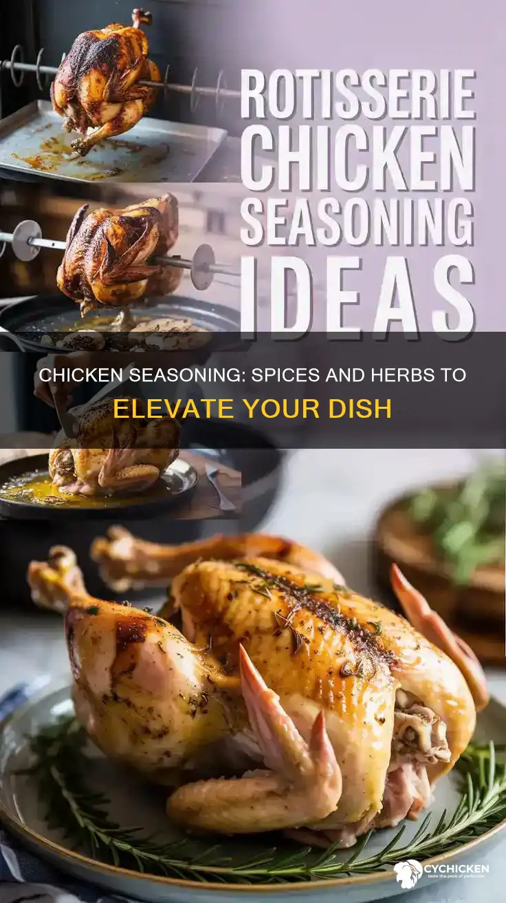 what kind of seasoning do you put on chicken
