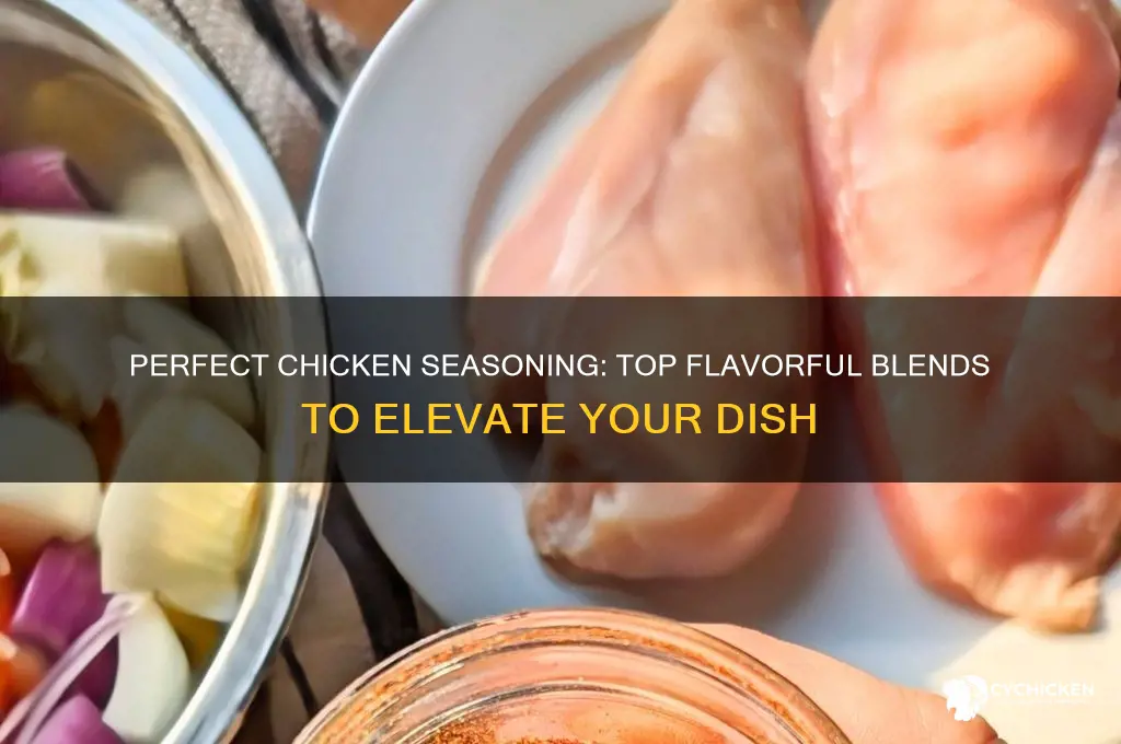what kind of seasoning to put on chicken