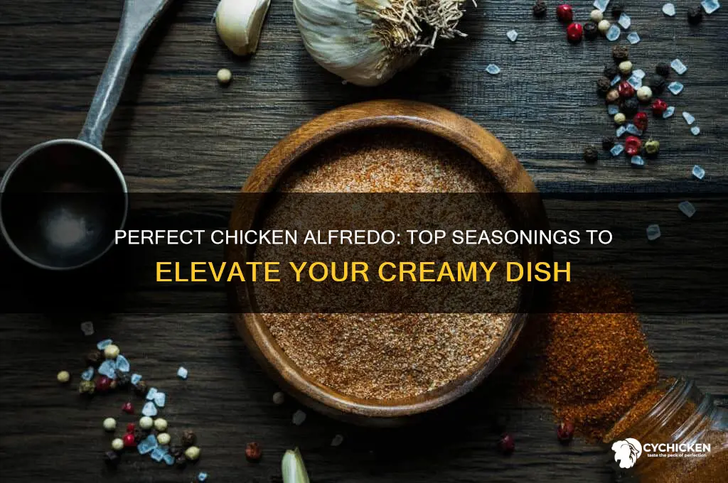 what kind of seasonings for chicken alfredo