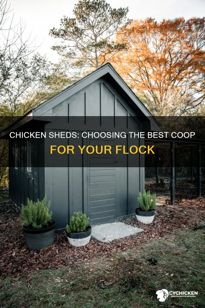 what kind of shed is best for a chicken