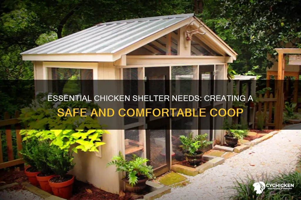 what kind of shelter does a chicken require