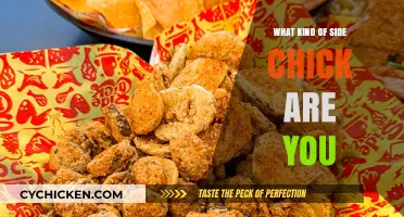 Unveiling Your Role: Exploring the Different Types of Side Chicks
