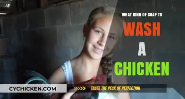 Best Soap for Washing Chickens: Safe and Effective Cleaning Tips