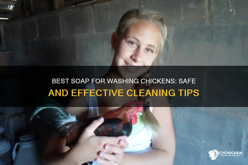 what kind of soap to wash a chicken