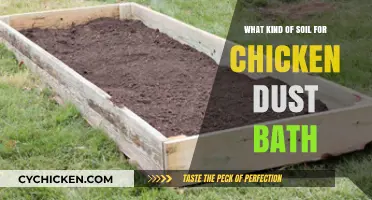 Best Soil Types for Creating Healthy Chicken Dust Baths