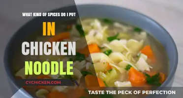 Chicken Noodle Soup: Spicing It Up Right