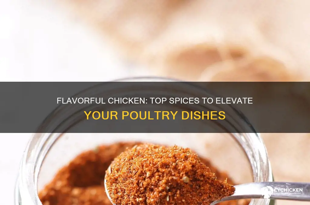 what kind of spices to put on chicken