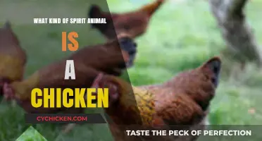 Unveiling the Surprising Spirit Animal Wisdom of the Humble Chicken