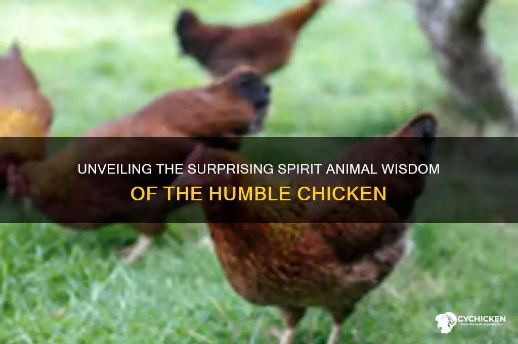 what kind of spirit animal is a chicken