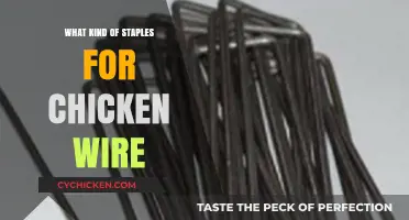 Best Staples for Chicken Wire: Secure Fencing Tips and Tools