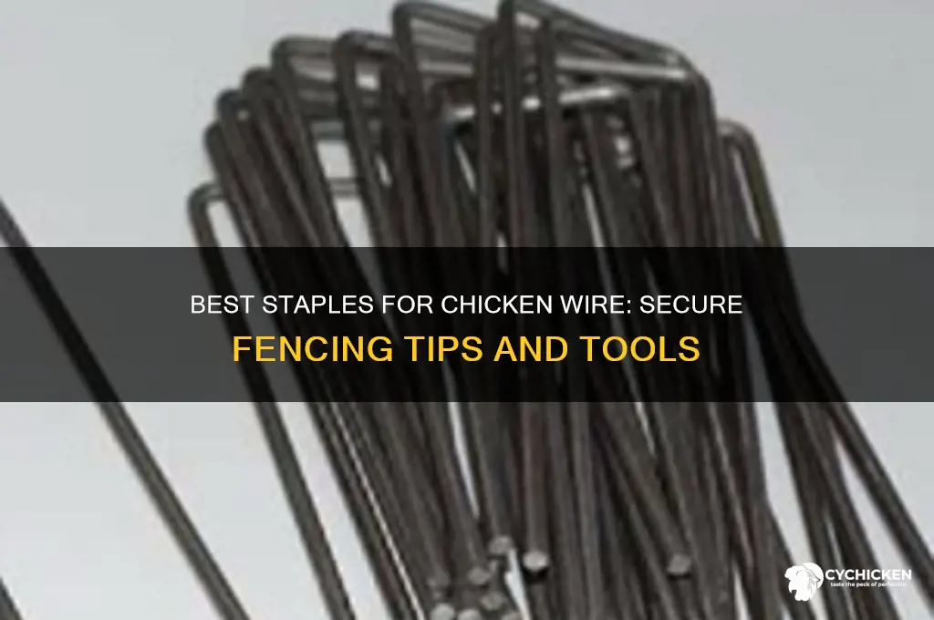 what kind of staples for chicken wire